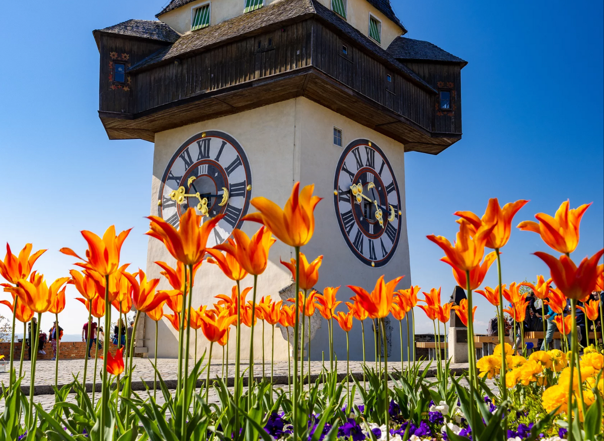 Clock Tower