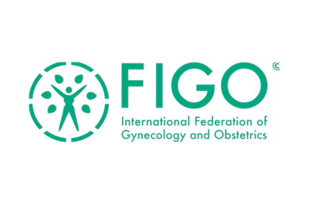 FIGo (1).png